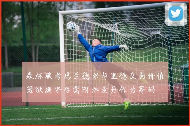森林狼考虑兰德尔与里德交易价值若欲换字母需附加麦丹作为筹码